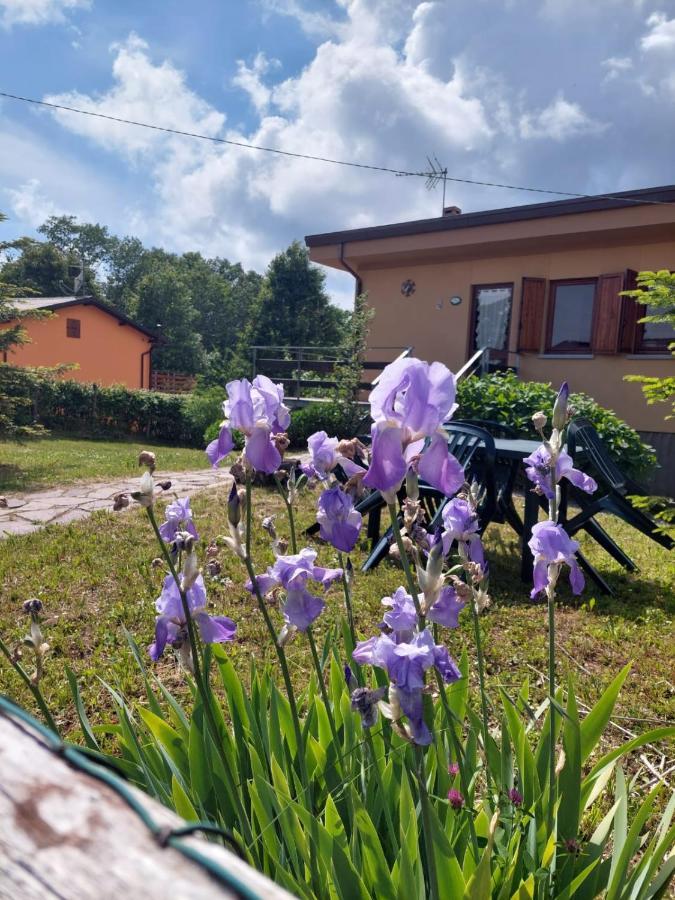 Chalet Grazia Valgiano Bagian luar foto