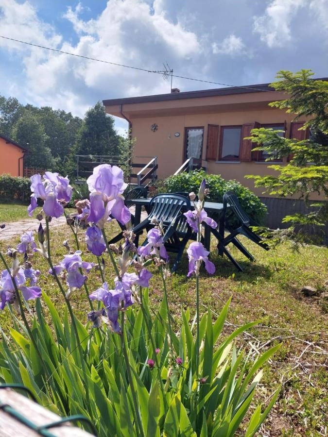 Chalet Grazia Valgiano Bagian luar foto